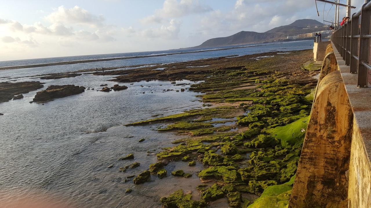 Vcv Marta Canteras Beach Las Palmas Buitenkant foto